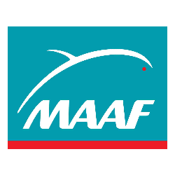 Maaf Assurances